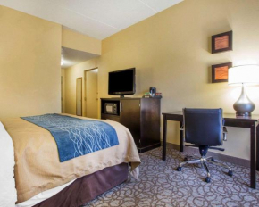 Comfort Inn & Suites at Stone Mountain